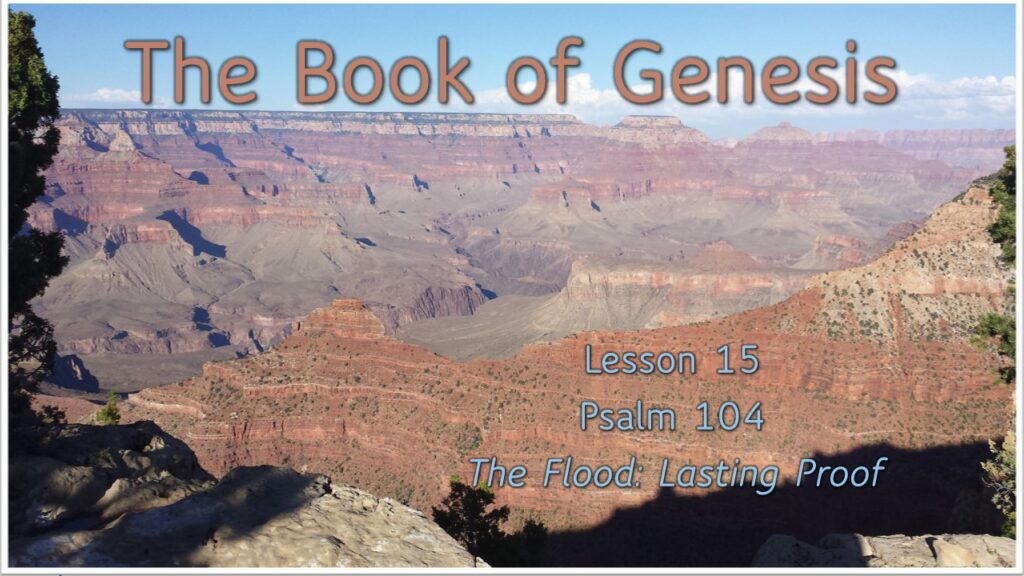 Genesis – Lesson 15 – The Flood: Lasting Proof
