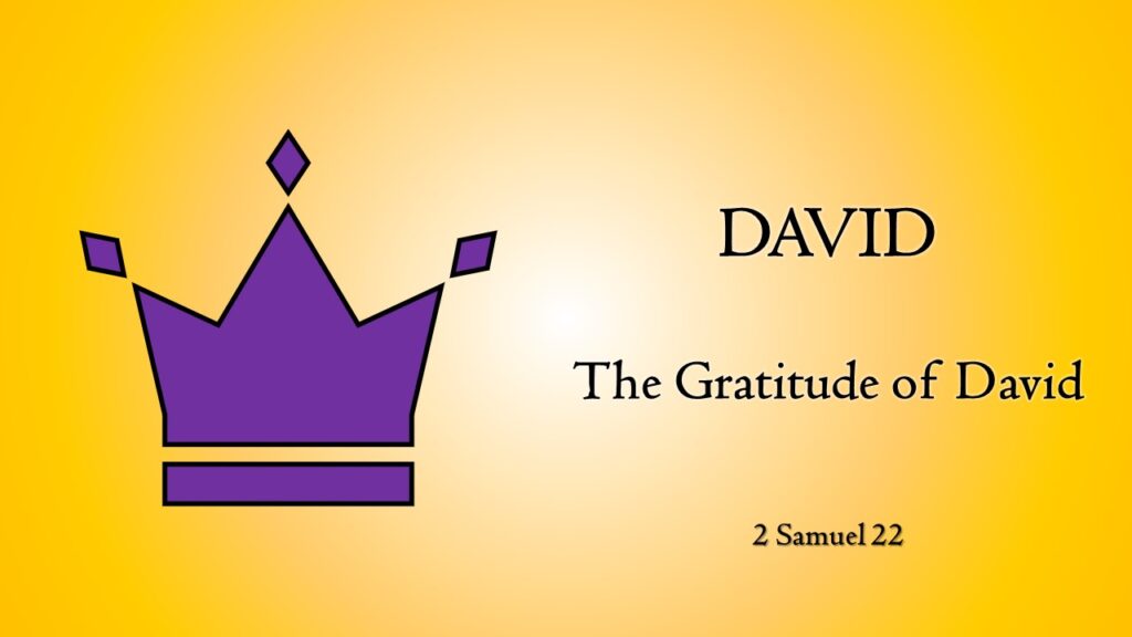 The Gratitude of David