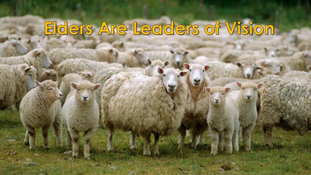 Elders Are Leaders with Vision