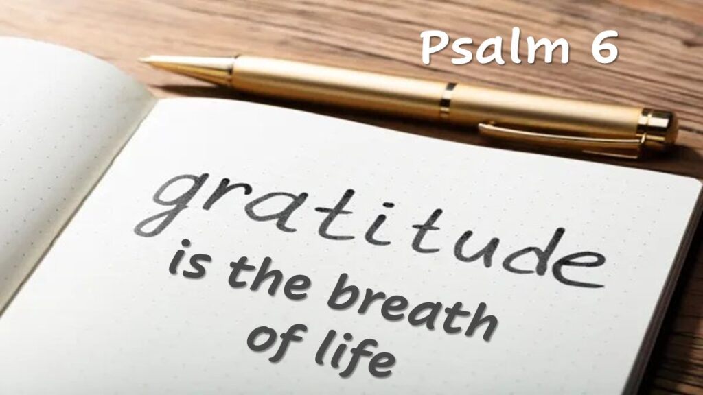 Gratitude Is the Breath of Life