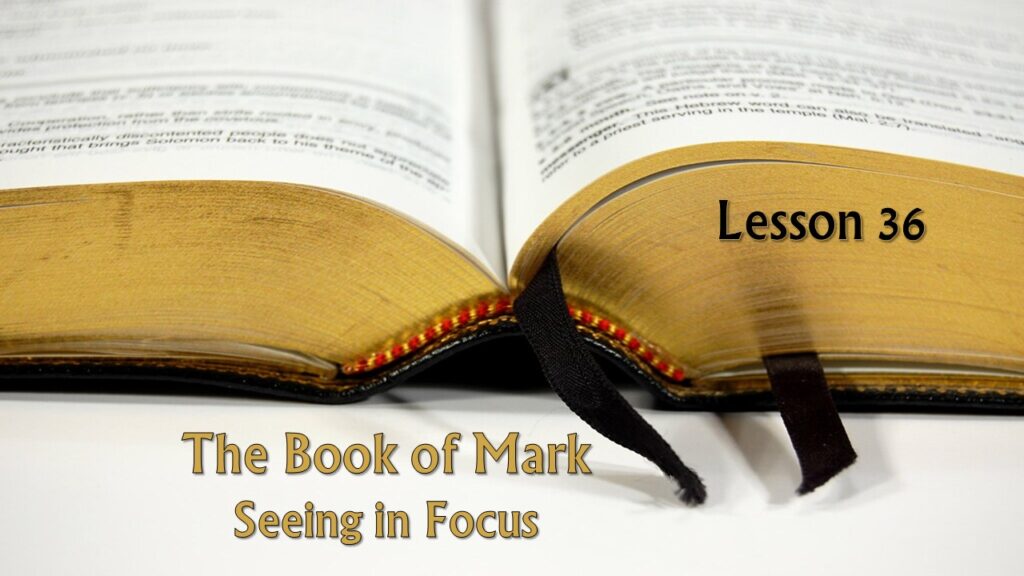 Mark – 36 – Seeing in Focus