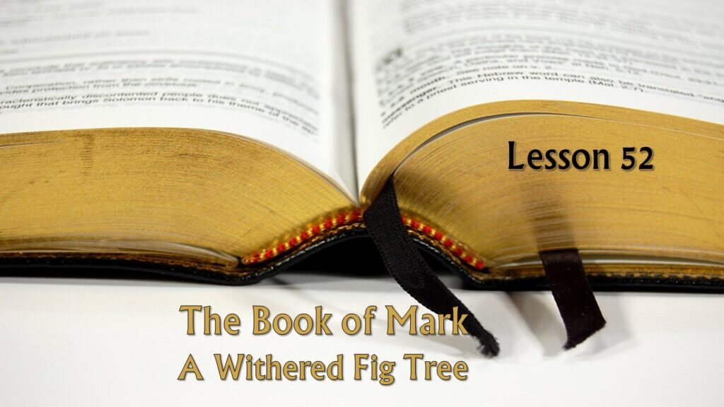 Mark – 52 – A Withered Fig Tree