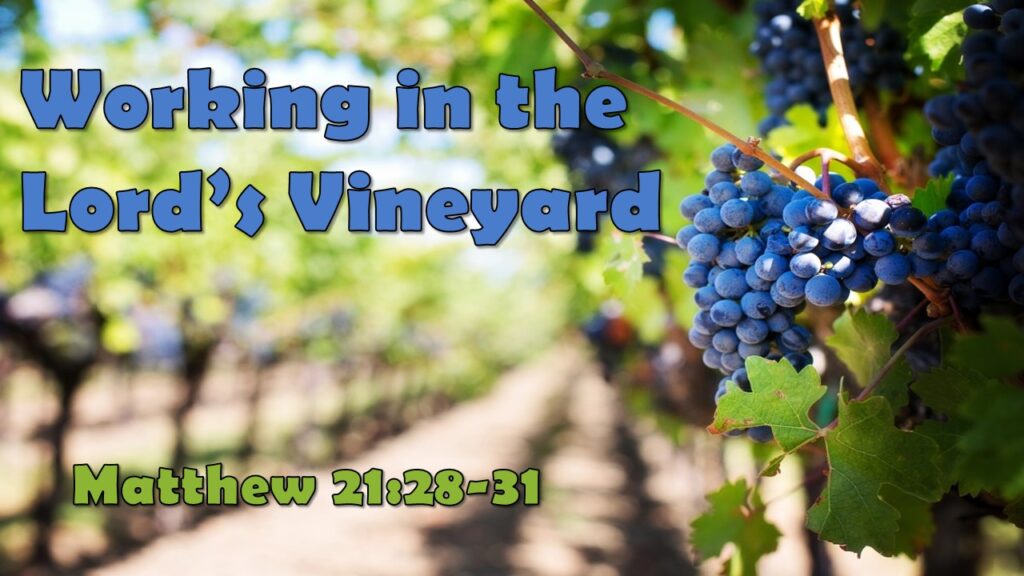 Working in the Lord’s Vineyard