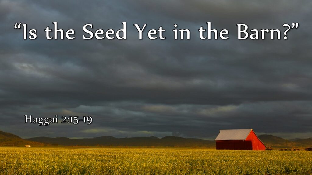“Is the Seed Yet in the Barn?”