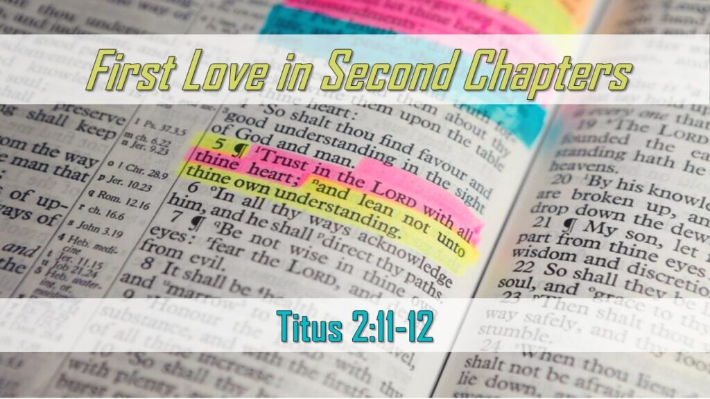 First Love in Second Chapters