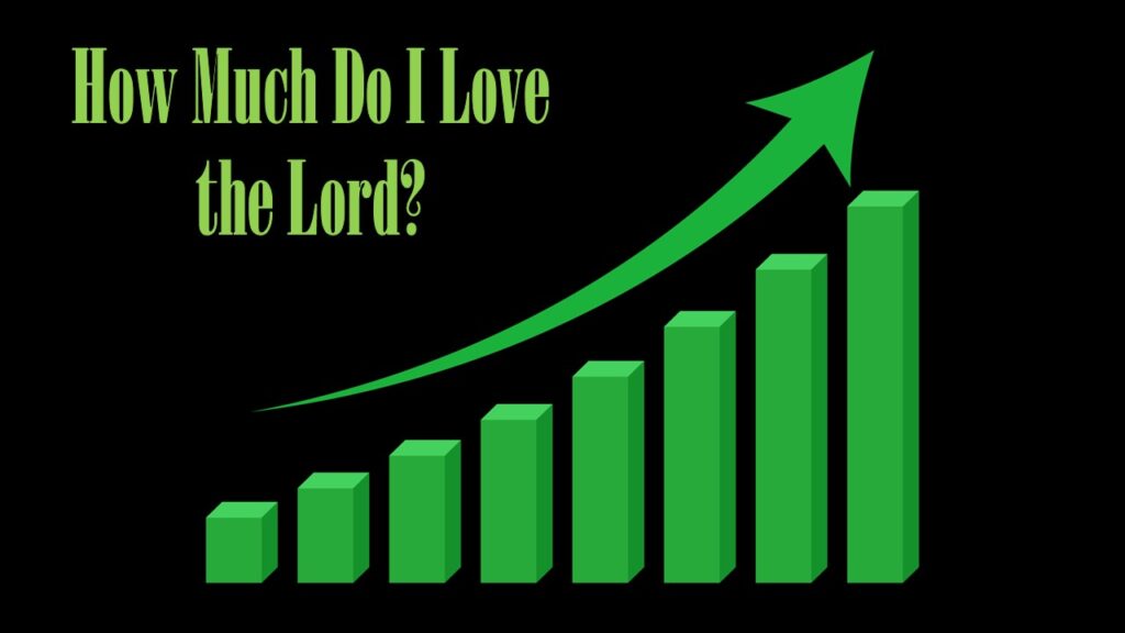 How Much Do I Love The Lord?