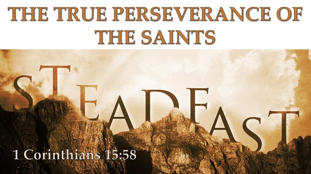 The True Perseverance of the Saints